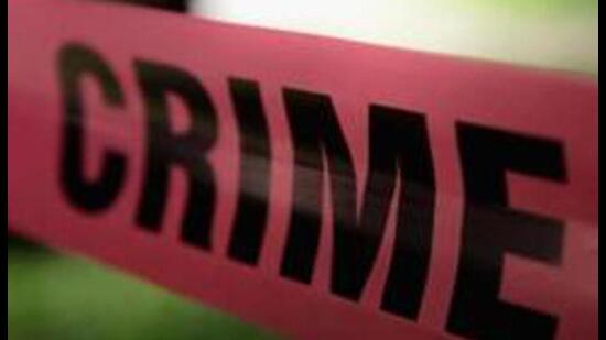 The victim, Kulwinder Singh of Deep Complex, Hallomajra, complained that two men snatched his mobile phone while he was taking a call near his house and fled on foot. (Representative Image/HT File)