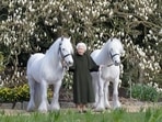 Queen Elizabeth's 96th birthday, which is being celebrated today, April 21 will be marked with gun salutes, the release of a Barbie doll and a new photograph showing Britain's longest-serving monarch with two white ponies at Windsor Castle.(via REUTERS)