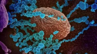 Among the latest Covid infections, six were reported from Chandigarh, four from Panchkula and three from Mohali. (via REUTERS)