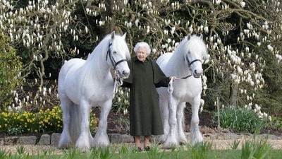 The photograph shows the British Queen Elizabeth II, dressed in a long dark green coat, standing between two white ponies Bybeck Nightingale and Bybeck Katie. (via REUTERS)