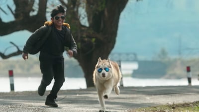 Oh My Dog movie review: Amazon Prime Video's new film is a warm tale of love. Oh My Dog movie review: Amazon Prime Video's new film is a warm tale of love.