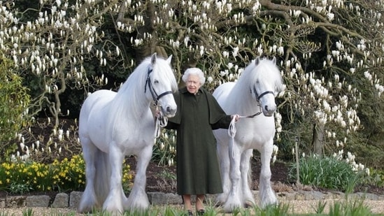 Queen Elizabeth's 96th birthday, which is being celebrated today, April 21 will be marked with gun salutes, the release of a Barbie doll and a new photograph showing Britain's longest-serving monarch with two white ponies at Windsor Castle.(via REUTERS)