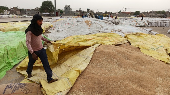 Low output, less wheat purchase: Punjab likely to suffer <span class='webrupee'>₹</span>600 crore revenue loss (HT)