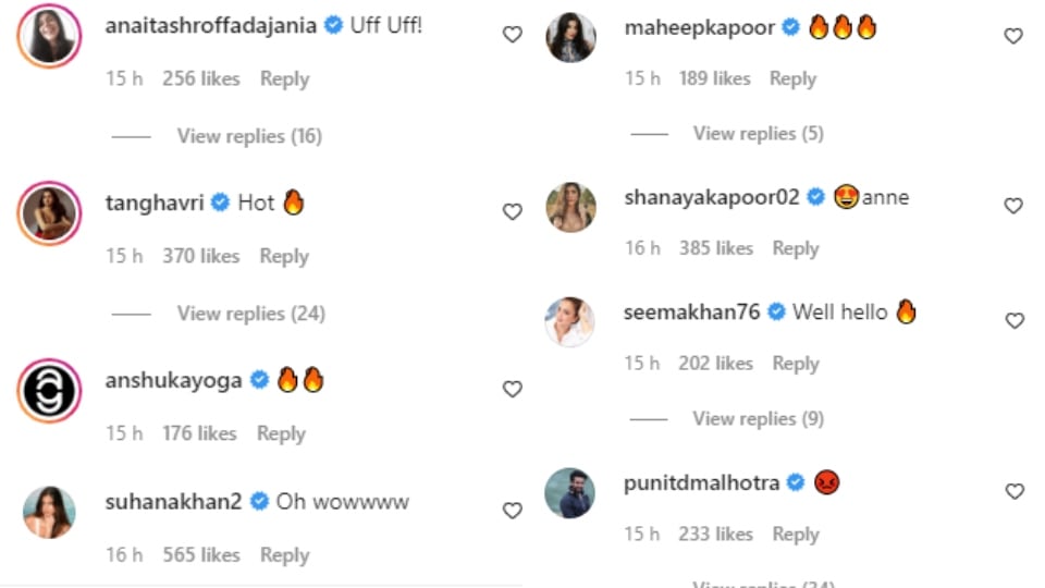 Comments on the post Ananya Panday shared.&nbsp;