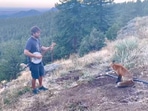 The image, taken from the viral video, shows the man playing banjo for the wild fox.