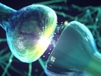 Neurons are the brain cells responsible for receiving signals from the external world and help the human body react differently to different stimuli. (Shutterstock) Neurons are the brain cells responsible for receiving signals from the external world and help the human body react differently to different stimuli. (Shutterstock)