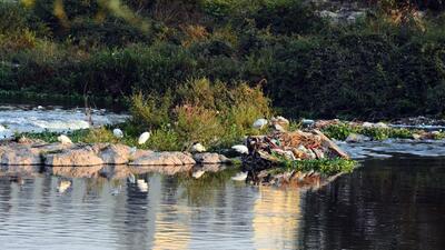 The waters of the Ujani reservoir and the Bhima river are much more polluted than those of the Mula and Mutha. (HT FILE PHOTO) The waters of the Ujani reservoir and the Bhima river are much more polluted than those of the Mula and Mutha. (HT FILE PHOTO)
