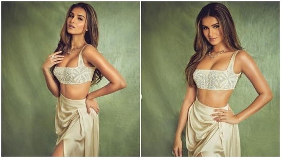 Tara Sutaria aces the boho chic look in this embroidered crop top teamed with a thigh-high slit skirt.(Instagram/@tarasutaria)
