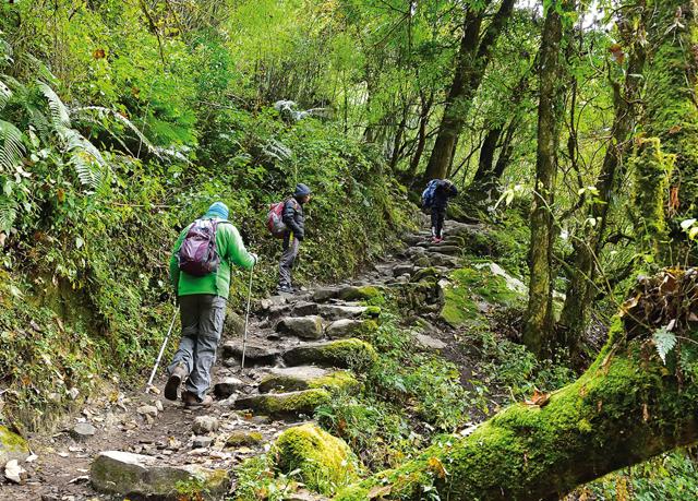The steady uphill climb from Bamboo to Dovan
