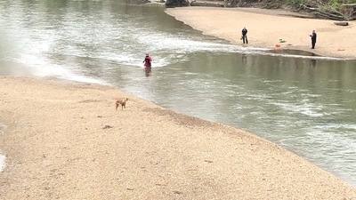 The image shows the rescuers walking towards the stranded dog. (Facebook/@Columbus Fire Department - Indiana) The image shows the rescuers walking towards the stranded dog. (Facebook/@Columbus Fire Department - Indiana)
