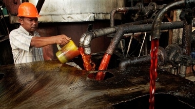 A worker checks the quality of crude palm oil (CPO) in a state CPO processing unit at Indonesia's North Sumatra province May, 2012. REUTERS/Tarmizy Harva (REUTERS)