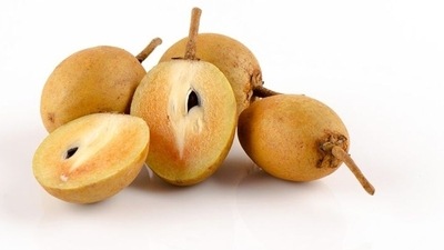 Helps with constipation: Chikoo has high amounts of dietary fiber which makes it an excellent bulk laxative. (Pinterest) Helps with constipation: Chikoo has high amounts of dietary fiber which makes it an excellent bulk laxative. (Pinterest)
