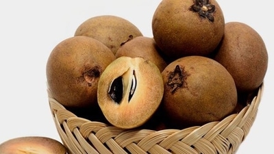 Chikoo or sapodilla is loved by one and all, especially children who relish its sweet taste and wonderful flavour. A storehouse of nutrients, chikoo, also known as sapota is high on fibre which helps relieve constipation and has anti-inflammatory properties which could help with swelling and joint pain. Nutritionist Lovneet Batra in her recent Instagram post talked about the many benefits of this wonderful fruit. (Pinterest) Chikoo or sapodilla is loved by one and all, especially children who relish its sweet taste and wonderful flavour. A storehouse of nutrients, chikoo, also known as sapota is high on fibre which helps relieve constipation and has anti-inflammatory properties which could help with swelling and joint pain. Nutritionist Lovneet Batra in her recent Instagram post talked about the many benefits of this wonderful fruit. (Pinterest)