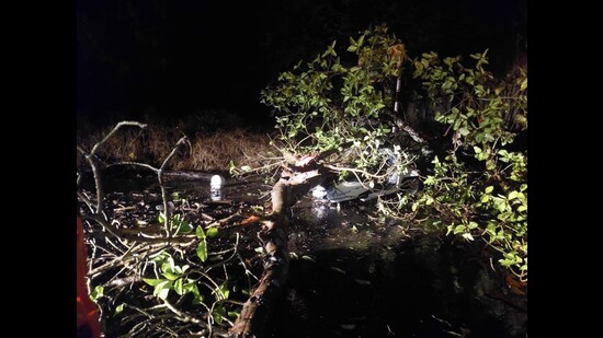 A couple was killed in Purandar area of Pune district after a branch of a tree fell on them on Friday night. (HT PHOTO)