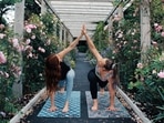 Tips to treat poor immunity with the help of Yoga and natural way of living (Photo by Zen Bear Yoga on Unsplash ) Tips to treat poor immunity with the help of Yoga and natural way of living (Photo by Zen Bear Yoga on Unsplash )