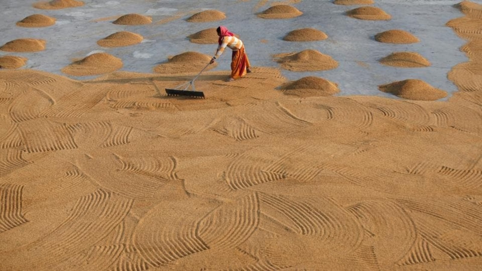 India’s plan for fortified rice needs infra overhaul as deadline looms