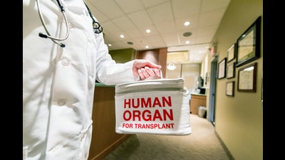 In the backdrop of the Pune kidney transplant row, a senior health official from DMER said the new circular by DMER holding the hospital accountable is necessary. (Getty Images/iStockphoto) In the backdrop of the Pune kidney transplant row, a senior health official from DMER said the new circular by DMER holding the hospital accountable is necessary. (Getty Images/iStockphoto)