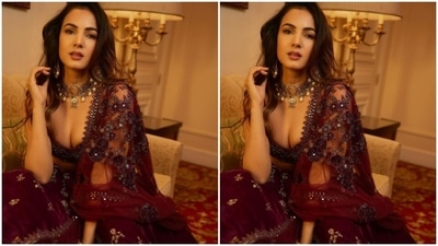 Styled by makeup artist Sandy, Sonal wore her tresses open and decked up in nude eyeshadow, black eyeliner, mascara-laden eyelashes, drawn eyebrows, contoured cheeks and a shade of soft maroon lipstick. (Instagram/@sonalchauhan)