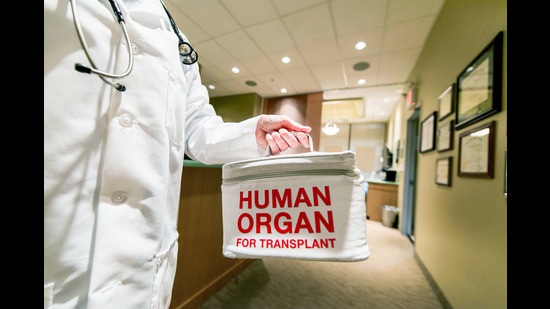 In the backdrop of the Pune kidney transplant row, a senior health official from DMER said the new circular by DMER holding the hospital accountable is necessary. (Getty Images/iStockphoto)