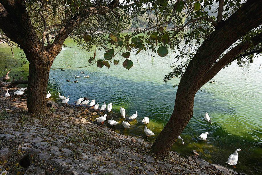 Deer Park is a paradise for morning joggers. (Photo: Biplov Bhuyan/HT) Deer Park is a paradise for morning joggers. (Photo: Biplov Bhuyan/HT)