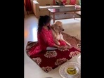 A dog named Max gets his birthday celebrated in Bengali style in this Instagram video(Instagram/@maxmoshai)