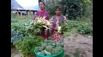 The environment-friendly and sustainable techniques being adopted by the women of rural Himachal have helped improve their lives and livelihoods and they are now serving as inspiration for others. (HT Photo) The environment-friendly and sustainable techniques being adopted by the women of rural Himachal have helped improve their lives and livelihoods and they are now serving as inspiration for others. (HT Photo)