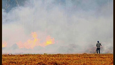 Ground-level inquiry into stubble burning incidents ordered by Moga district authorities (HT File) Ground-level inquiry into stubble burning incidents ordered by Moga district authorities (HT File)