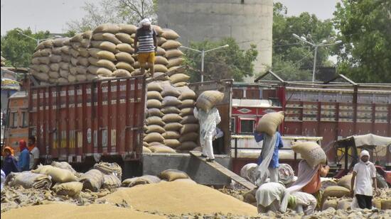 The Punjab Government has paid <span class='webrupee'>₹</span>13,697 crore to farmers for the purchase of wheat till Monday. (HT Photo)