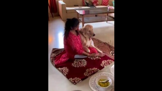 A dog named Max gets his birthday celebrated in Bengali style in this Instagram video(Instagram/@maxmoshai)