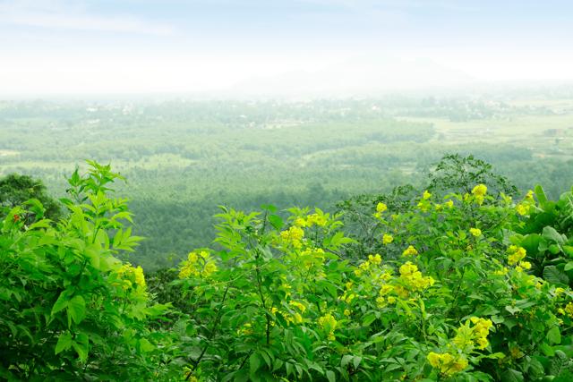 The view from Canary Hill in Hazaribagh. (Shutterstock) The view from Canary Hill in Hazaribagh. (Shutterstock)