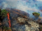 Yet, forests continue to burn year after year. Technological interventions are useful, only to the extent of tracking a fire incident. (PTI) Yet, forests continue to burn year after year. Technological interventions are useful, only to the extent of tracking a fire incident. (PTI)