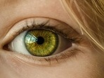 Retinal vein occlusion (RVO) is a common cause of vision loss in older individuals, and the second most common retinal vascular disease after diabetic retinopathy.(Pixabay) Retinal vein occlusion (RVO) is a common cause of vision loss in older individuals, and the second most common retinal vascular disease after diabetic retinopathy.(Pixabay)