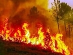 The data analysed by HT shows that this year there are more fires in March and April than at any other time of the year. The data analysed by HT shows that this year there are more fires in March and April than at any other time of the year.