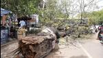 Dust storm triggers power outages in Gurugram Dust storm triggers power outages in Gurugram