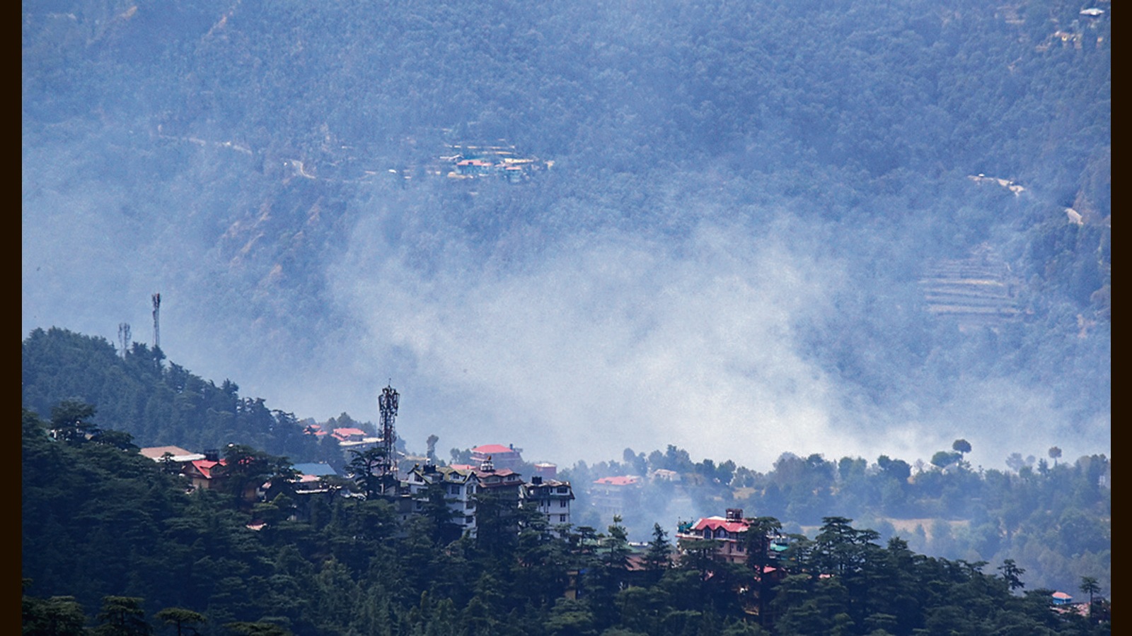 Forest Fires Rage In Himachal, 503 Incidents In Nearly 4 Weeks ...