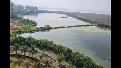 With air safety in mind, Navi Mumbai International Airport Limited is to act upon suggestions to protect water bodies. An Environment Impact Assessment study pointed out that BNHS “strictly suggests” that project proponent should protect and conserve the biologically-important habitats – wetlands at NRI Complex, Delhi Public School, Training Ship Chanakya, Panje, Nava Sheva Police Station and Jasai where large aggregation of birds are observed. (For representational purposes only) (HT PHOTO) With air safety in mind, Navi Mumbai International Airport Limited is to act upon suggestions to protect water bodies. An Environment Impact Assessment study pointed out that BNHS “strictly suggests” that project proponent should protect and conserve the biologically-important habitats – wetlands at NRI Complex, Delhi Public School, Training Ship Chanakya, Panje, Nava Sheva Police Station and Jasai where large aggregation of birds are observed. (For representational purposes only) (HT PHOTO)