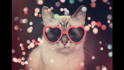 Lolita of the felines (Shutterstock)