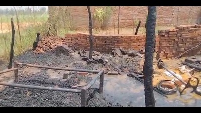 Kurukshetra SP Anshu Singla said there are initial reports about the death of the minor girls and some animals. (HT Photo)