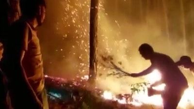 Visuals of fire in Uttarakhand shared by news agency ANI, Visuals of fire in Uttarakhand shared by news agency ANI,