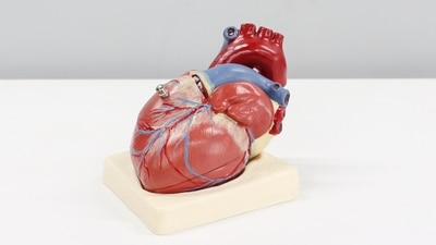 Women and low-income patients have higher mortality rates after heart surgery (Unsplash) Women and low-income patients have higher mortality rates after heart surgery (Unsplash)