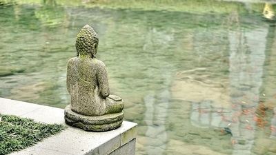 Meditate: Meditation is an effective way to help calm the monkey mind. Fix a time for the practice and look for solutions within. (Pixabay) Meditate: Meditation is an effective way to help calm the monkey mind. Fix a time for the practice and look for solutions within. (Pixabay)