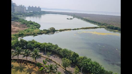 With air safety in mind, Navi Mumbai International Airport Limited is to act upon suggestions to protect water bodies. An Environment Impact Assessment study pointed out that BNHS “strictly suggests” that project proponent should protect and conserve the biologically-important habitats – wetlands at NRI Complex, Delhi Public School, Training Ship Chanakya, Panje, Nava Sheva Police Station and Jasai where large aggregation of birds are observed. (For representational purposes only) (HT PHOTO)