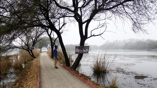 The environment ministry , in January 2010, notified an area up to 5km from the boundary of the park to be ESZ of the Sultanpur National Park. (HT archive)