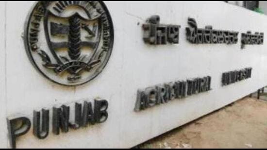 As many as 240 farmers and farm women from different parts of Punjab participated in the Kisan Bhagidari Prathmikta Hamari campaign held by PAU, Ludhiana. (HT FILE)