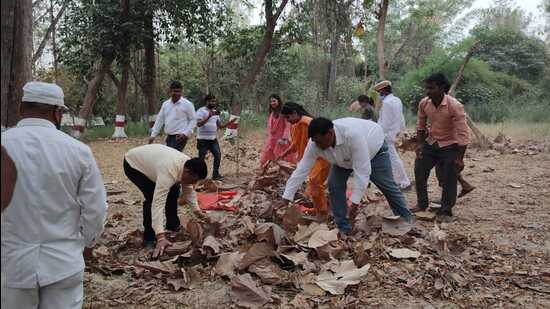 Bahraich district magistrate Dr Dinesh Chandra collecting dry leaves. (HT)