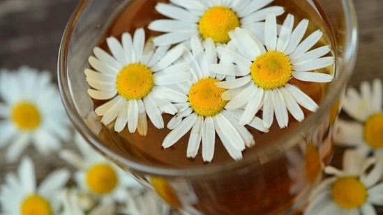 Chamomile and Jasmine tea: Drinking chamomile or jasmine tea may boost your immune system, reduce anxiety and depression, and improve skin health. In addition, chamomile tea has some unique properties that may improve sleep quality.(Pixabay)