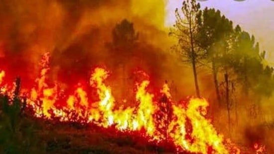 The data analysed by HT shows that this year there are more fires in March and April than at any other time of the year. The data analysed by HT shows that this year there are more fires in March and April than at any other time of the year.