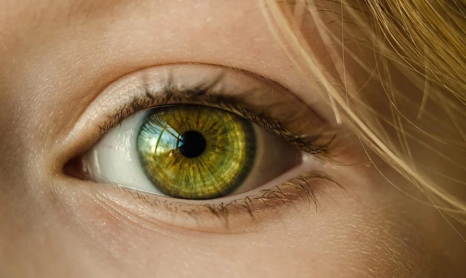 Retinal vein occlusion (RVO) is a common cause of vision loss in older individuals, and the second most common retinal vascular disease after diabetic retinopathy. (Pixabay) Retinal vein occlusion (RVO) is a common cause of vision loss in older individuals, and the second most common retinal vascular disease after diabetic retinopathy. (Pixabay)