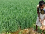 The substantial increase in subsidy will help compensate fertiliser companies for selling their products to farmers at lower-than-market prices.