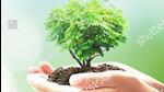 GMADA’s urban forest project planned for Sector 97, Mohali, has run into rough weather. (HT File) GMADA’s urban forest project planned for Sector 97, Mohali, has run into rough weather. (HT File)